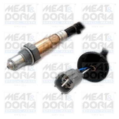 Oxygen Sensor